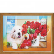 Картина 5D 30*40 Подарок FA030 (664775)